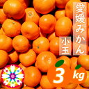 【ふるさと納税】「 愛媛 みかん 」 小玉 約3kg《 愛咲果樹園 》【A71-26】【1616828】