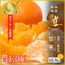 【ふるさと納税】極撰柑橘【雅】光センサー合格品・限定130ケース 愛媛の高級柑橘「甘平」約1.8キロ【D39-66】【配送不可地域:離島】【1619270】
