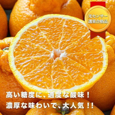 【ふるさと納税】【糖度14.0以上酸1.4以下】糖酸選別品 愛媛産 訳あり 不知火(しらぬひ)5kg【C20-64】【配送不可地域：離島】【1620236】