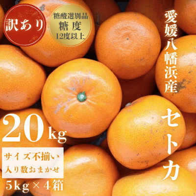 【ふるさと納税】【みかんの大トロ】糖度12.0以上酸1.4以下 糖酸選別品 訳あり愛媛セトカ20kg【H20-76】【1620330】