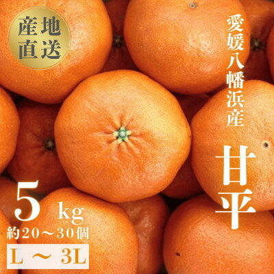 【ふるさと納税】【愛媛が誇る 高級みかん 希少品種】甘平 (かんぺい) 5kg【H20-66】【1620336】