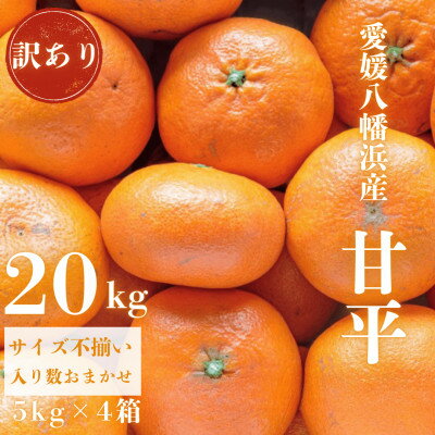 【ふるさと納税】【愛媛が誇る 高級みかん 希少品種】訳あり 甘平 (かんぺい) 20kg【H20-69】【1620340】