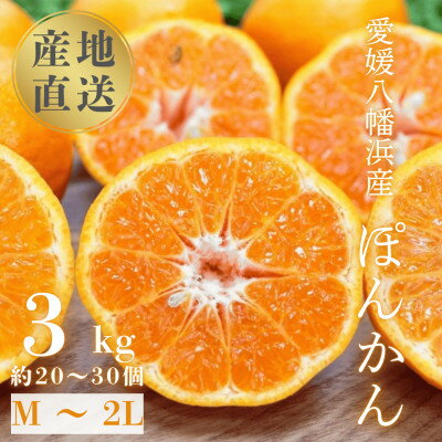 【ふるさと納税】【南国を感じさせる独特の香り】愛媛ポンカン 3kg【C20-60】【1620341】