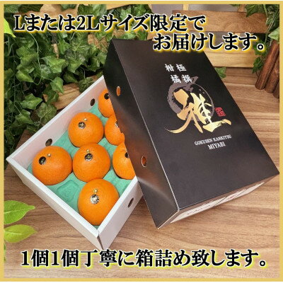 【ふるさと納税】極撰柑橘【雅】光センサー合格品・柑橘の大トロ「 せとか 」約3キロ【D39-71】【配送不可地域：離島】【1620367】