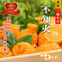 【ふるさと納税】2026年2月~順次出荷 甘さと酸味の絶妙なバランス!はじける果肉「不知火」約5キロ【D39-73】【配送不可地域:離島】【1620478】