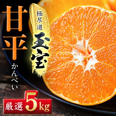 【ふるさと納税】「玉宝ブランド」【甘平】5kg【H64-61】【1621001】
