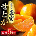 【ふるさと納税】「玉宝ブランド」【せとか】5kg【G64-62】【1621005】
