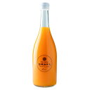 【ふるさと納税】温州みかんジュース720ml×6本【E56-68】【1621268】