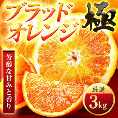 【ふるさと納税】【太陽をたっぷり浴びた】ブラッドオレンジ(タロッコ)【極】3kg【D49-87】【1621799】
