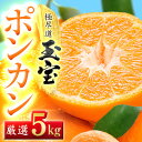 【ふるさと納税】【愛媛名産】玉宝ポンカン 5kg【C64-64】【1621806】