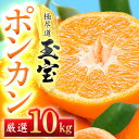 【ふるさと納税】【愛媛名産】玉宝ポンカン 10kg【F64-66】【1621808】