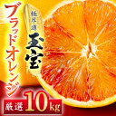 【ふるさと納税】【愛媛名産】玉宝ブラッドオレンジ(タロッコ) 10kg【H64-67】【1621809】
