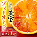 【ふるさと納税】【愛媛名産】玉宝ブラッドオレンジ(タロッコ) 5kg【E64-68】【1621810】