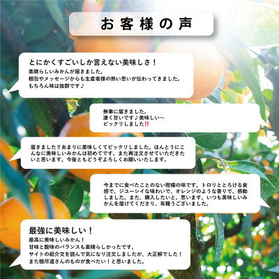 青森県産　紅玉最高級品2.5kg（約10〜14玉入）