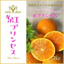【ふるさと納税】柑橘界のサラブレット!!「まどんな」と「甘平」を親に持つ!! 「紅プリンセス」3キロ【F39-77】【配送不可地域:離島】【1621866】
