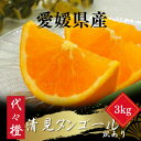 【ふるさと納税】【トロッととろける果実】【訳あり】清見タンゴール 3kg【A83-32】【1623456】