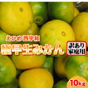 【ふるさと納税】西宇和産極早生みかん訳あり10kg【C21-39】【1623770】