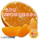 【ふるさと納税】西宇和産大玉みかん2Lサイズ8kg【C21-40】【1623773】