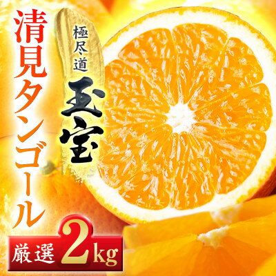 [愛媛名産]玉宝清見タンゴール 2kg/4kg/5kg/10kg[G1623964]