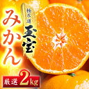 【ふるさと納税】【愛媛名産】玉宝みかん 2kg【A64-84】【1623967】