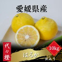 【ふるさと納税】【爽やかな甘さ】【訳あり】はるか 10kg【F83-46】【1625108】