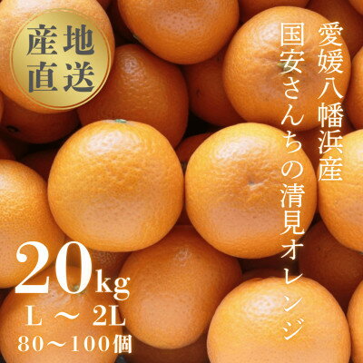 【ふるさと納税】【まるで食べるジュース!越冬完熟品】愛媛産 清見オレンジ 20kg【H20-94】【1625385】