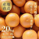 【ふるさと納税】【まるで食べるジュース!越冬完熟品】愛媛産 清見オレンジ 20kg【H20-94】【1625385】