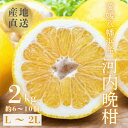 【ふるさと納税】《果汁たっぷりジューシー》産地直送 愛媛八幡浜産 河内晩柑2kg【C20-90】【1625429】