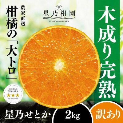 【ふるさと納税】【訳あり】星乃せとか 柑橘の大トロ(2kg)【C45-92】【1625775】