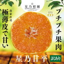 【ふるさと納税】【訳あり】星乃みかん園の甘平(3.5kg)【D45-95】【1625779】