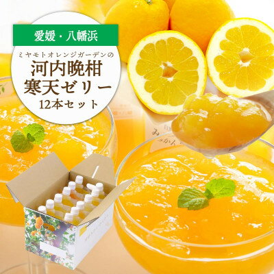 ゲル化剤・pH調整剤不使用!愛媛産 河内晩柑寒天ゼリー 12本セット[D25-223]