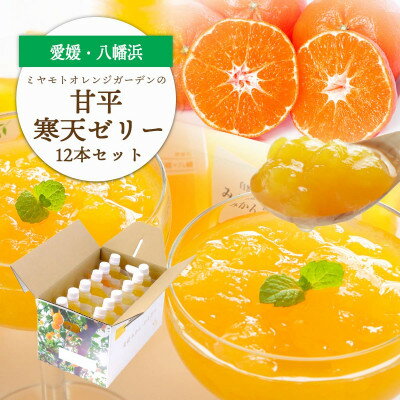 ゲル化剤・pH調整剤不使用!愛媛限定栽培品種 甘平(かんぺい)寒天ゼリー 12本[D25-226]