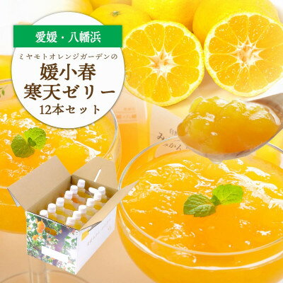 ゲル化剤・pH調整剤不使用!愛媛産 媛小春寒天ゼリー 12本セット[D25-227]