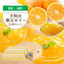 【ふるさと納税】ゲル化剤・pH調整剤不使用!愛媛産 不知火寒天ゼリー 30本セット【H25-236】【1630014】