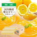 【ふるさと納税】ゲル化剤・pH調整剤不使用!愛媛産 河内晩柑寒天ゼリー 30本セット【H25-239】【1630027】