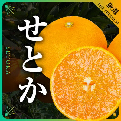 三代目の柑橘の大トロ[せとか]4kg サイズ:L〜4L混合[E31-52][配送不可地域:離島]