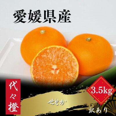 代々橙せとか[訳あり]3.5kg[C83-54]
