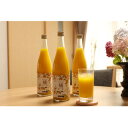 【ふるさと納税】ともんちのみかん清見ジュース 720ml×3本(計2160ml)【E91-1】【1639242】