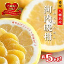 【ふるさと納税】2026年4月〜順次出荷 爽やかでみずみずしい!初夏のジューシー「河内晩柑」約5キロ【C39-81】【配送不可地域:離島】【1639646】