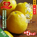 【ふるさと納税】2026年4月〜順次出荷 爽やかでみずみずしい!初夏の「河内晩柑」約5キロ【訳あり】【C39-82】【配送不可地域:離島】【1640764】