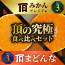 【ふるさと納税】頂みかんプレミアム&頂まどんな 食べ比べ2箱セット【各3kg】【G31-53】【1643194】