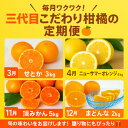 【ふるさと納税】【発送月固定定期便】柑橘【みかん・まどんな・せとか・ニューサマーオレンジ】【H31-46】全4回【4058612】