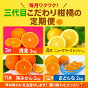 【ふるさと納税】【発送月固定定期便】柑橘【みかん・まどんな・きよみ・ニューサマーオレンジ】【H31-47】全4回【4058614】