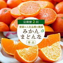 【ふるさと納税】【発送月固定定期便】みかんまどんな食べ比ベ(3kg&2.5kg)【F25-198】全2回【4066099】(4)