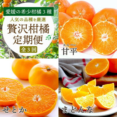 【ふるさと納税】【発送月固定定期便】愛媛の高級柑橘3品種!まどんな・甘平・せとか【訳あり】【H25-199】全3回【4066399】