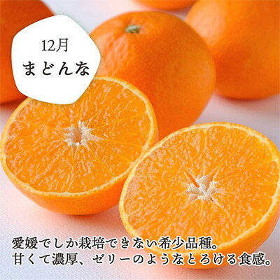 【ふるさと納税】【発送月固定定期便】愛媛の人気2品種を堪能!みかんまどんな食べ比べ【訳あり】【F25-200】全2回【4066439】