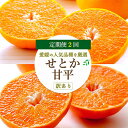 【ふるさと納税】【発送月固定定期便】愛媛の人気2品種を堪能!せとか・甘平 食べ比べ【訳あり】【F25-201】全2回【4066441】