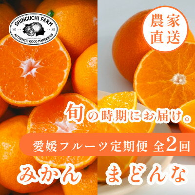 【ふるさと納税】【発送月固定定期便】愛媛フルーツ旬の柑橘 みかん・まどんな 各2kg【E70-77】全2回【4067784】 【ふるさと納税】【発送月固定定期便】愛媛フルーツ旬の柑橘 みかん・まどんな 各2kg【E70-77】全2回【4067784】