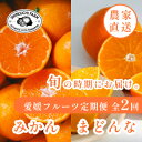 【ふるさと納税】【発送月固定定期便】愛媛フルーツ旬の柑橘 みかん・まどんな 各5kg【H70-79】全2回【4067787】