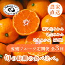 【ふるさと納税】【発送月固定定期便】「時期、種類による味の違いを楽しむ」愛媛みかん食べ比べ【H70-80】全3回【4067801】